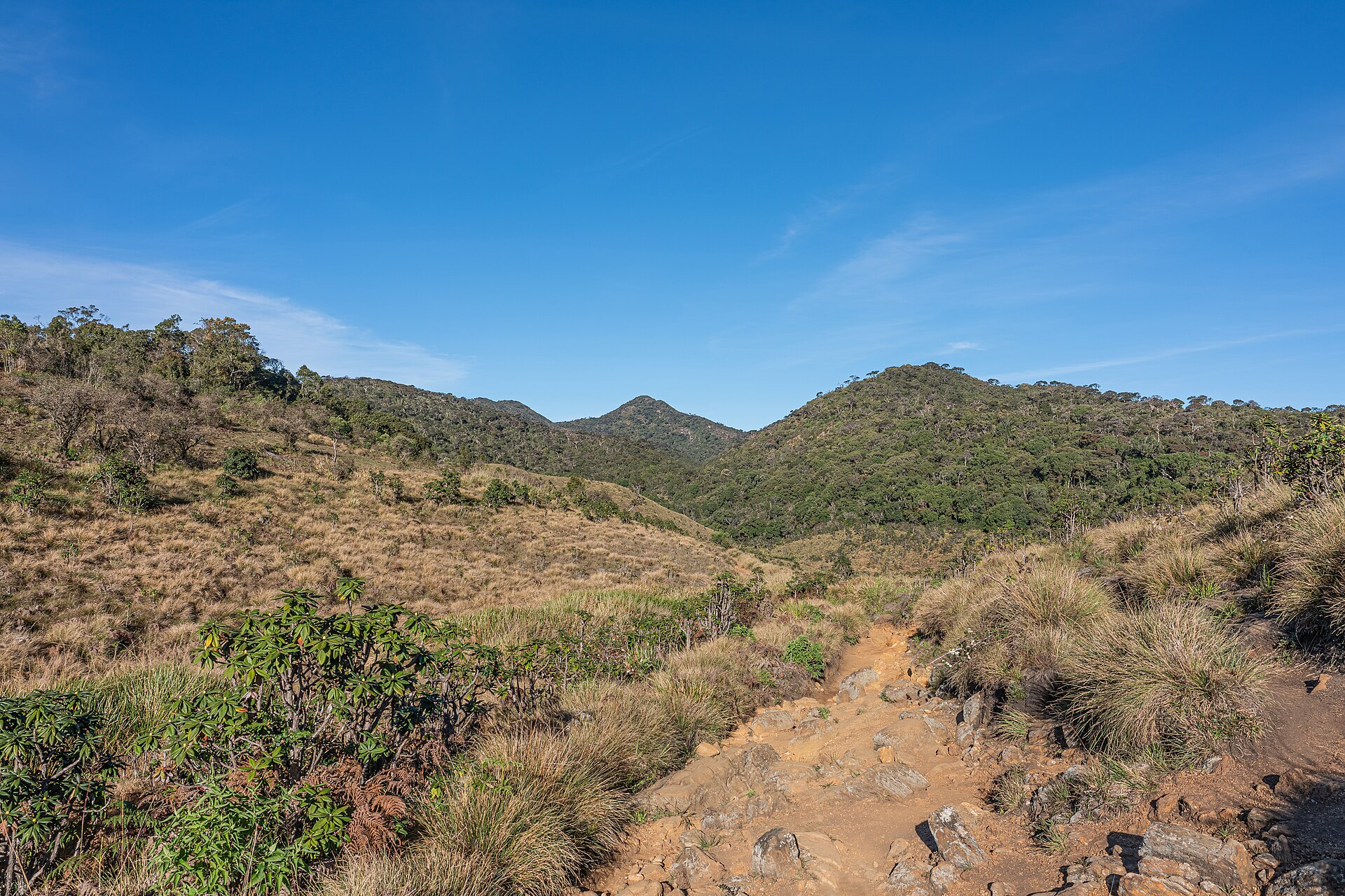 Trail across the grassland plateau of Horton Plains National Park