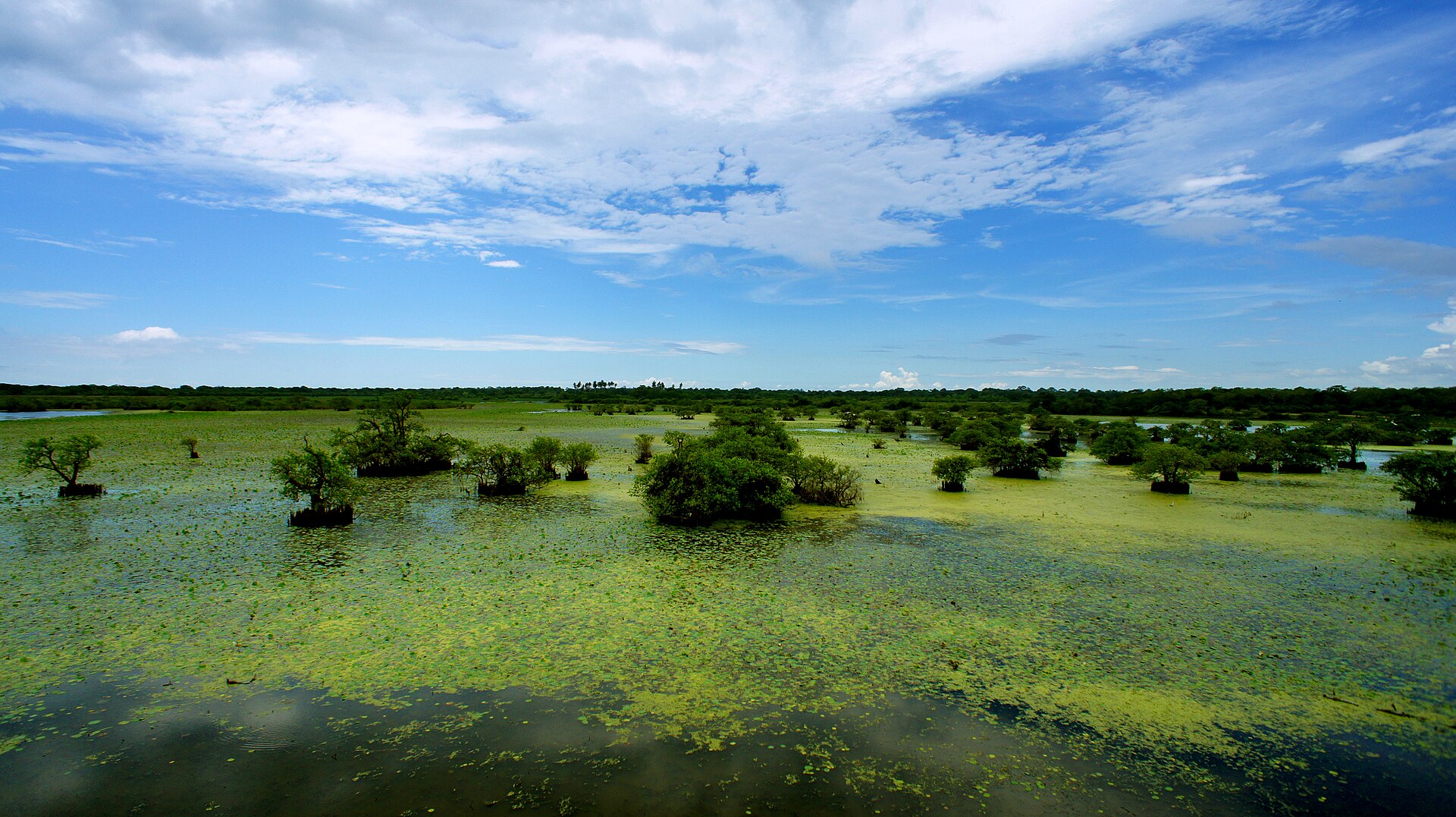 Wetlands in Kumana National Park