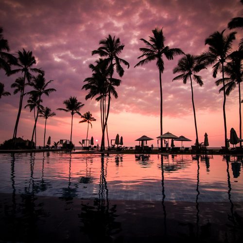 Palm trees reflected in an infinity pool at sunset on a Sri Lanka luxury tour