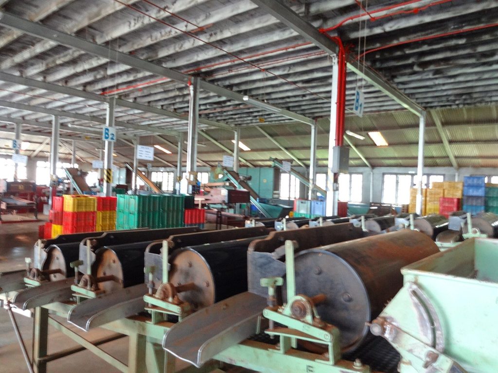 Tea rolling machines inside Blue Field Tea Factory, Ramboda