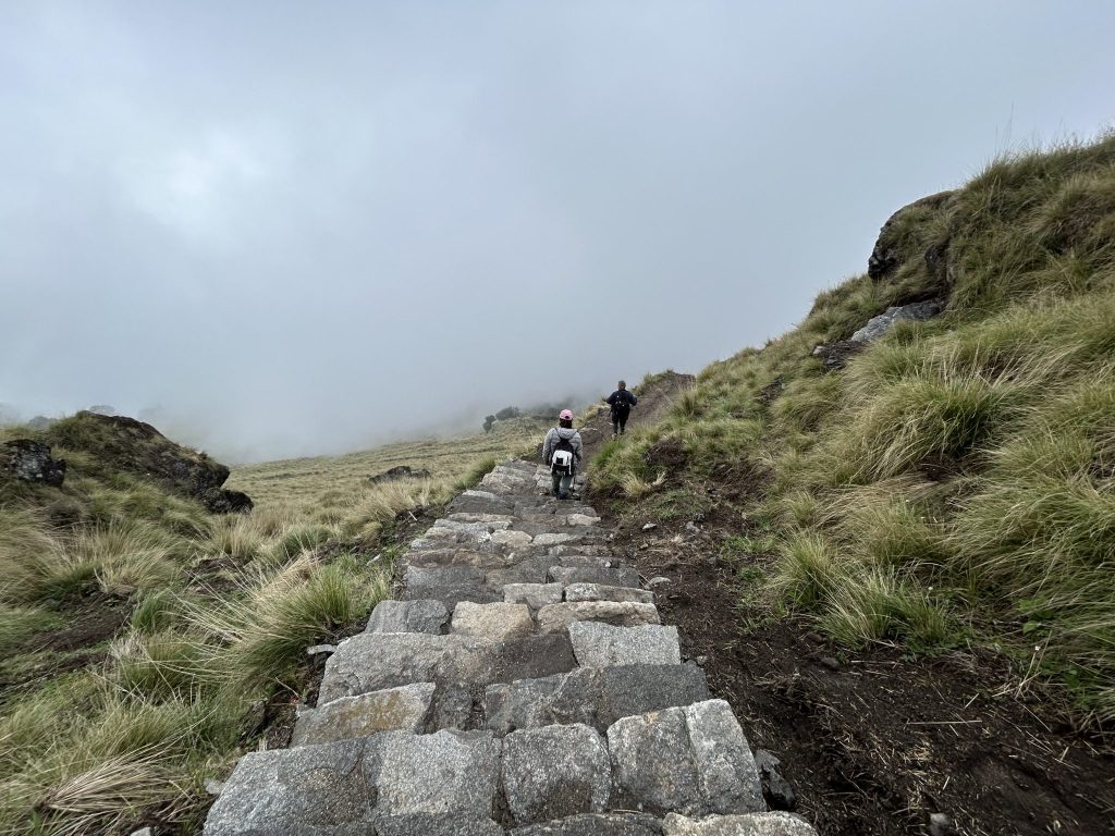 Home Hiking in the Sri Lankan highlands