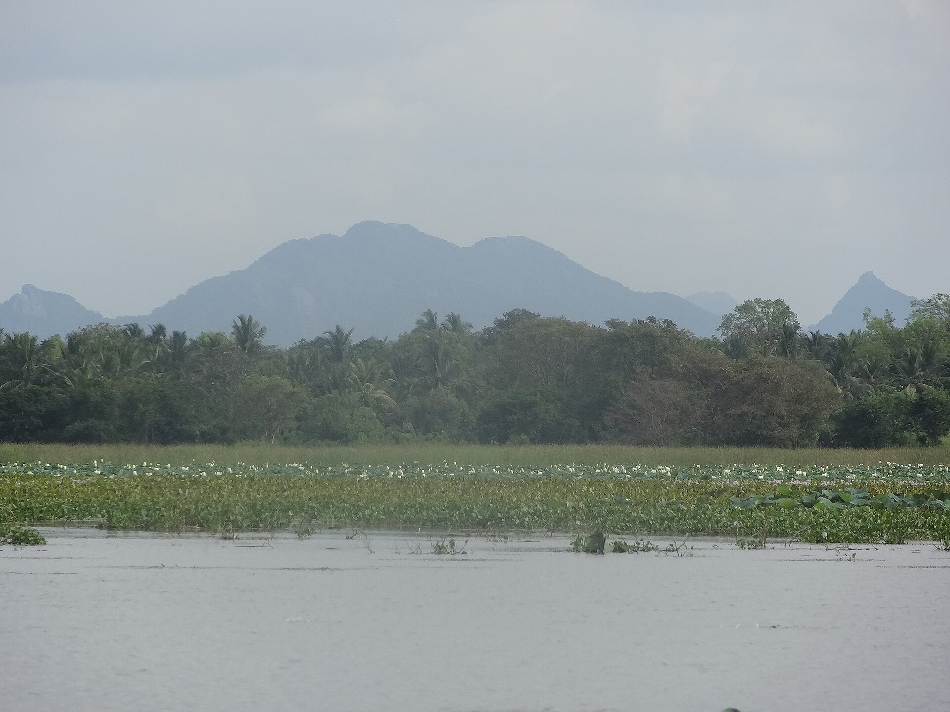 Village lake near Sigiriya and Habarana