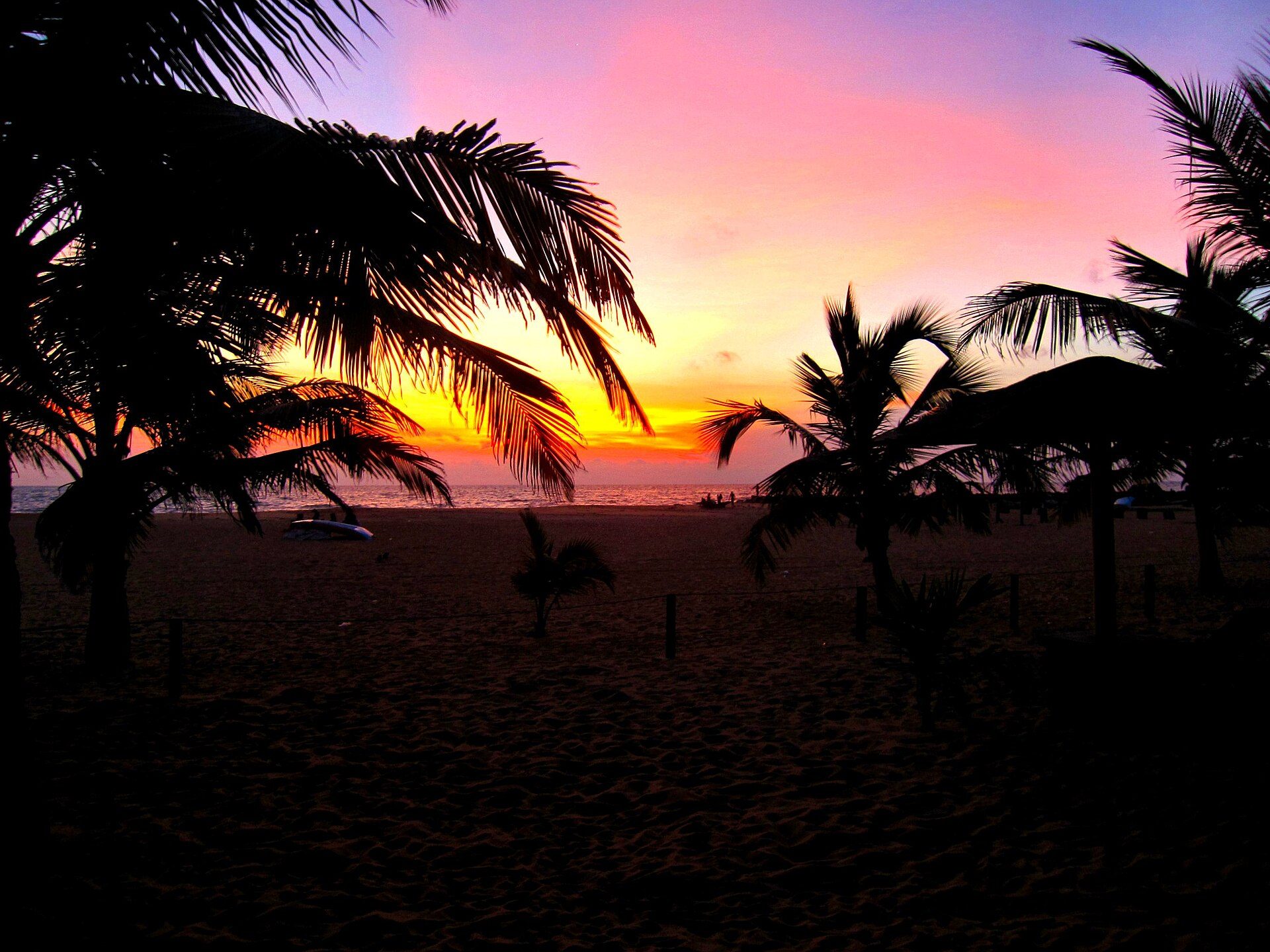 Palm trees silhouetted against a pink sunset on a Sri Lanka beach