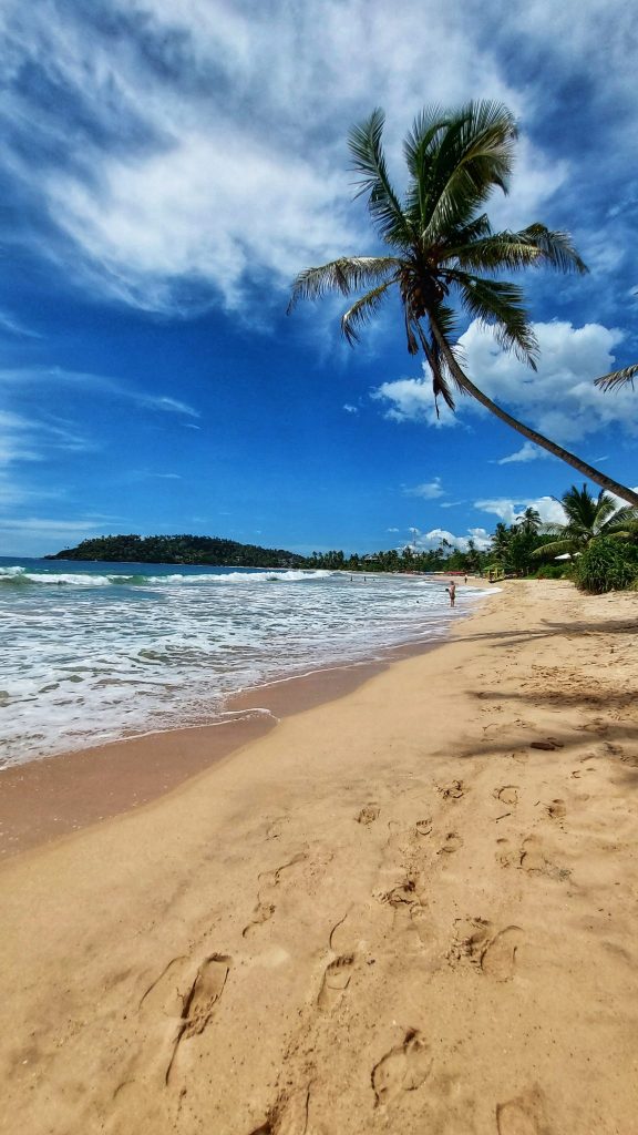 Home Mirissa beach, southern Sri Lanka tour