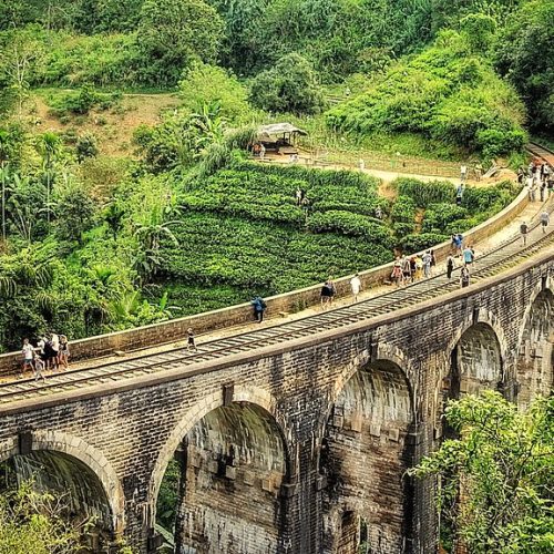 Nine Arch Bridge in Ella surrounded by tea plantations, Sri Lanka