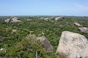 Kumana National Park, Arugam Bay, Sri Lanka