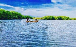 Pottuvil Lagoon safari, Arugam Bay, Sri Lanka