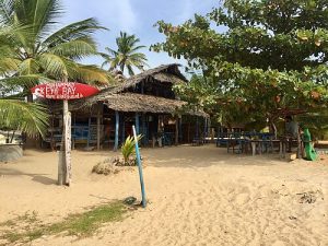 Surfing at Main Point, Arugam Bay, Sri Lanka