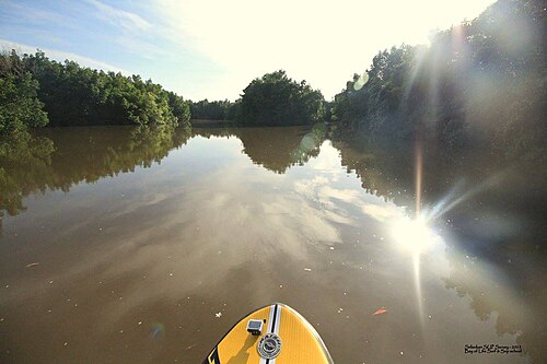 Madu River boat safari on a Bentota day tour from Colombo