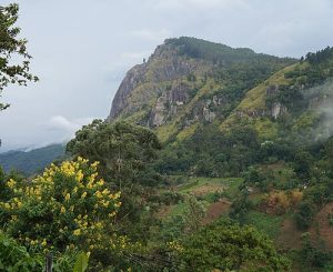 Ella Little Adam’s Peak, Ella, Sri Lanka