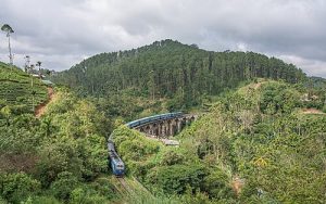 Ella Nine Arch Bridge, Ella, Sri Lanka