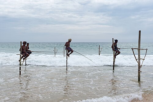 Stilt fishermen at Koggala