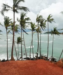Mirissa Beach Coconut Tree Hill, Mirissa, Sri Lanka