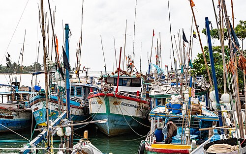 Negombo City & Lagoon Tour - Sri Lanka day tour