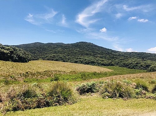Horton Plains & World’s End - Sri Lanka day tour