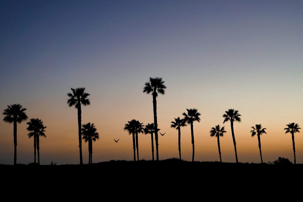 Home Palm beach sunset