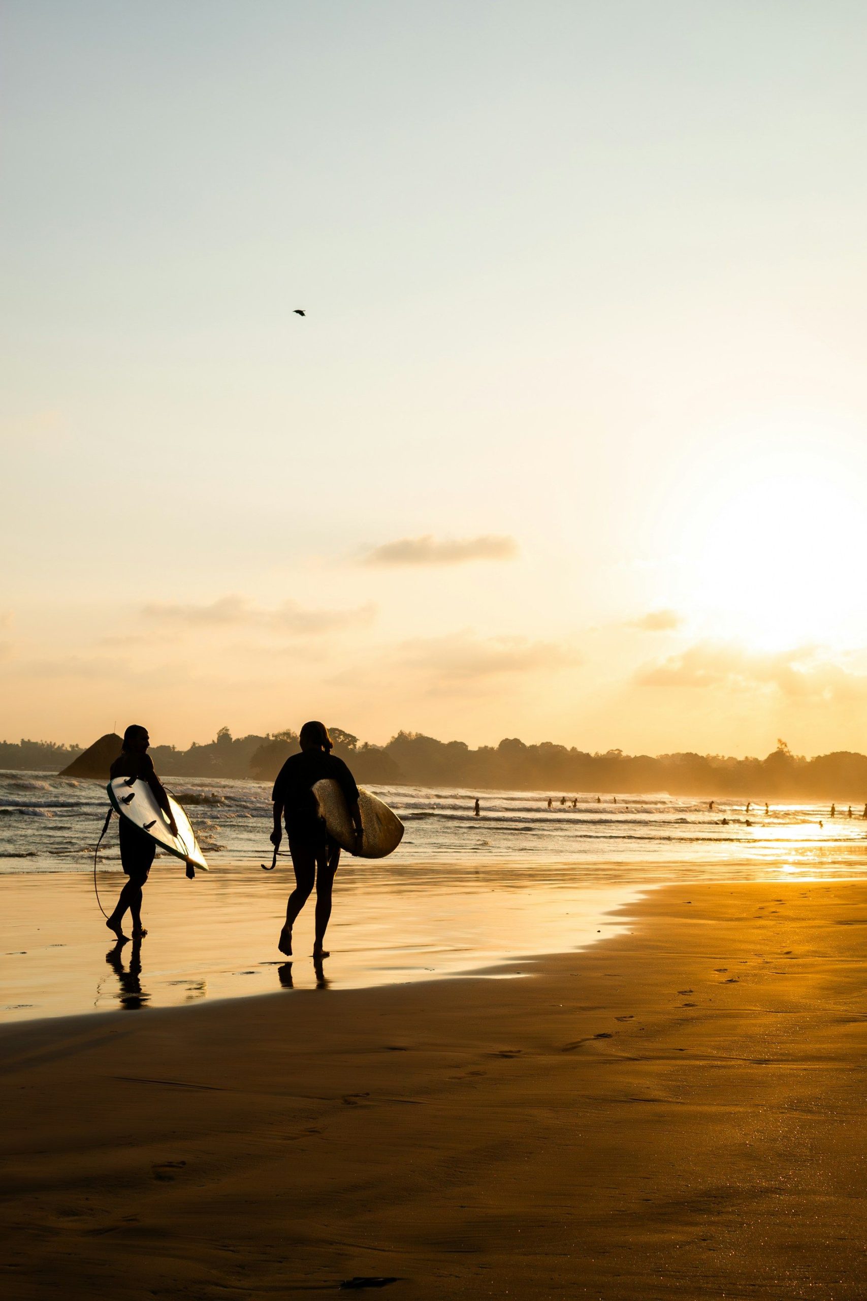 Two surfers walking on the beach at sunset