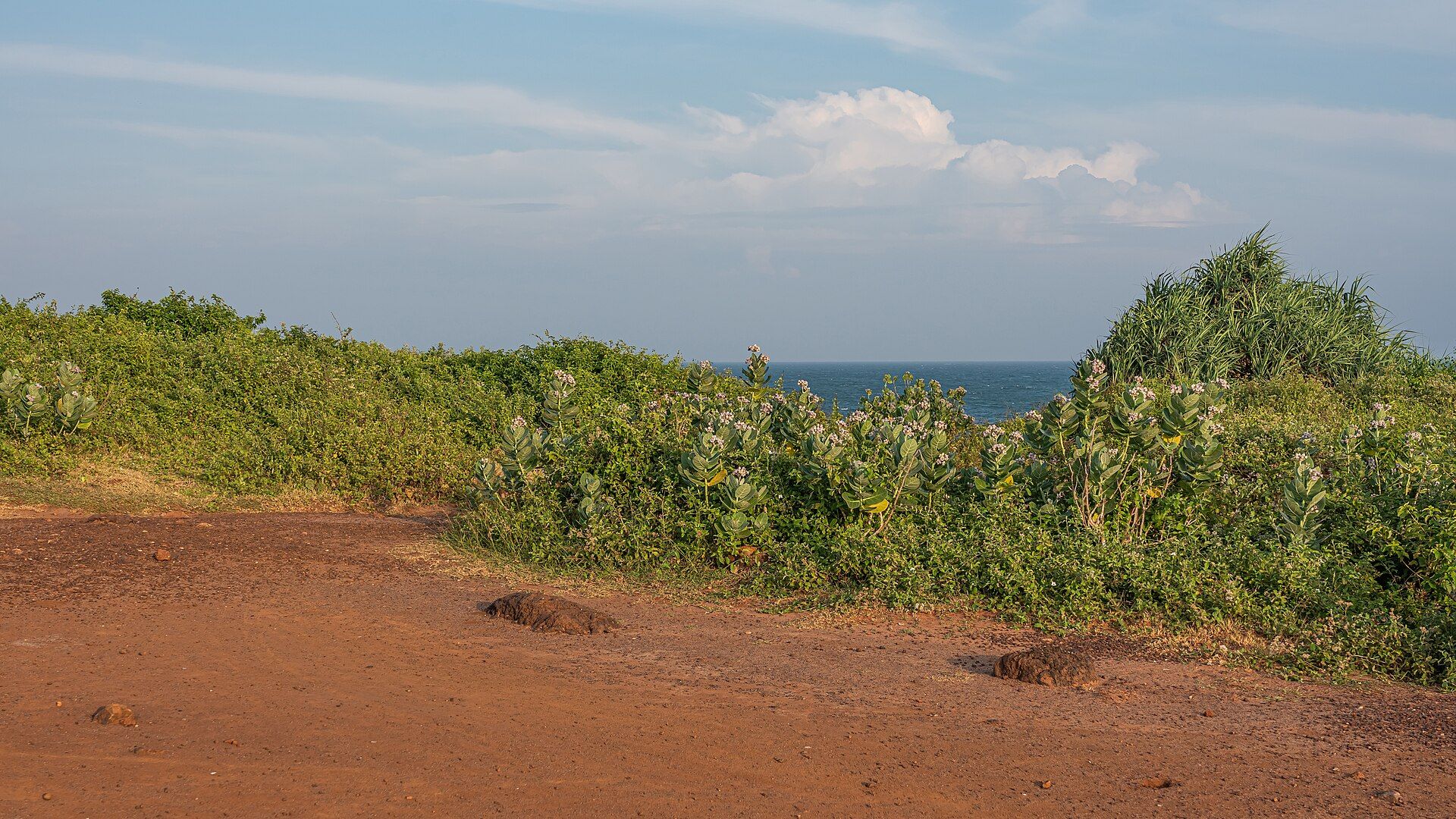 Ussangoda plateau above the sea on the south coast of Sri Lanka