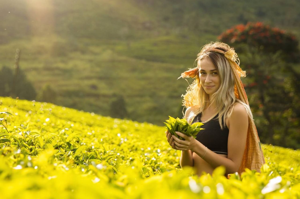 NH Lanka Tours About Us